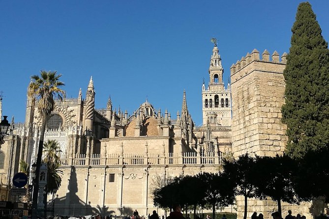 Private Walking Tour in Seville City Center - Visiting the Flower-Filled Patios