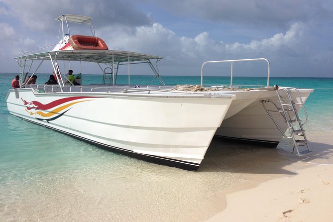 Private Whale Watching Charter (Grand Turk) - Catamaran Amenities