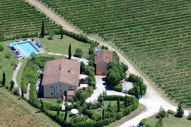 Private Wine Tour - Lucca Hills and Montecarlo (2 Wineries) - Traveler Considerations