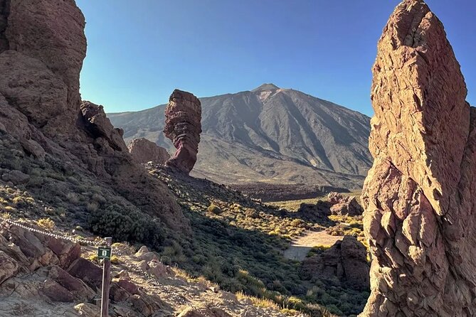 Professional Stargazing With Dinner on El Teide - Reviews