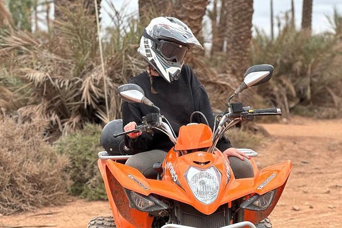 Quad and Camel Ride in the Palm Grove With Transport - Pricing and Cancellation Policy