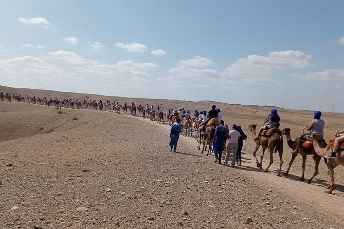 Quad Bike & Camel Ride Agafay & Dinner at Chouf L'Or Restaurant - Delicious Moroccan Dinner Menu