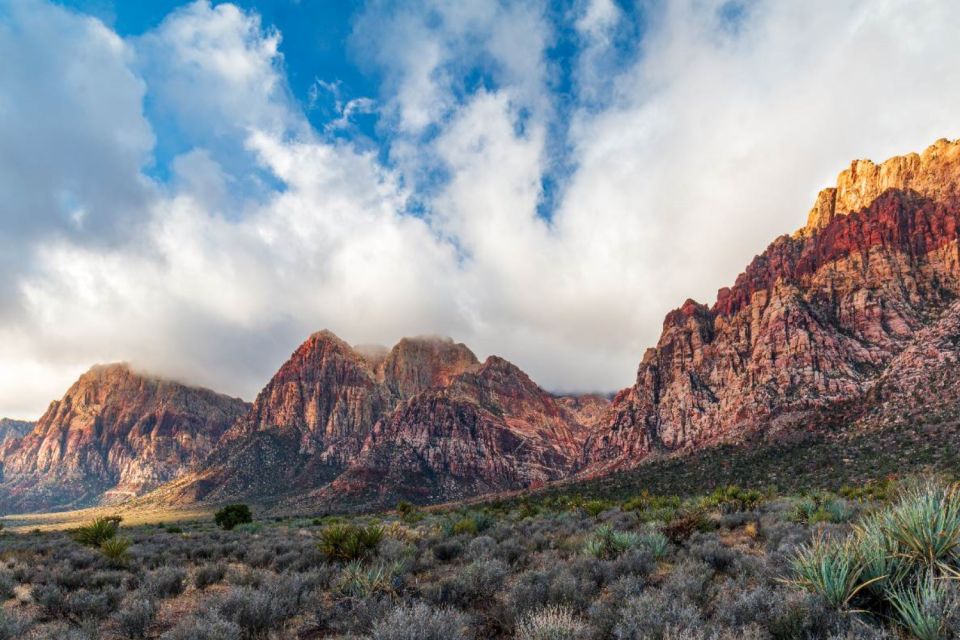 Red Rock Canyon Self-Guided Driving Audio Tour - Wildlife Observation