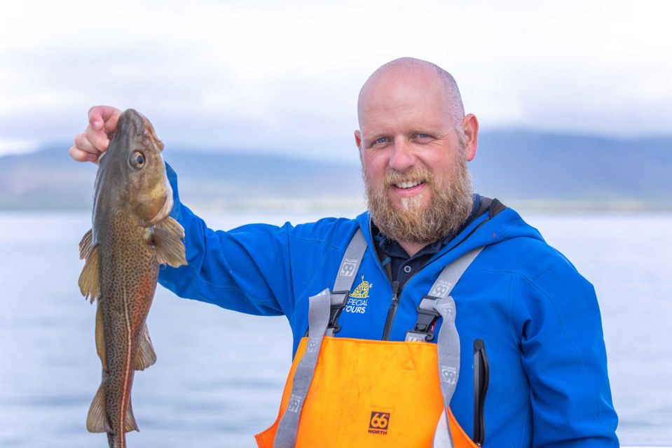 Reykjavik: Sea Fishing Boat Tour & BBQ With the Days Catch - Faxaflói Bay Exploration