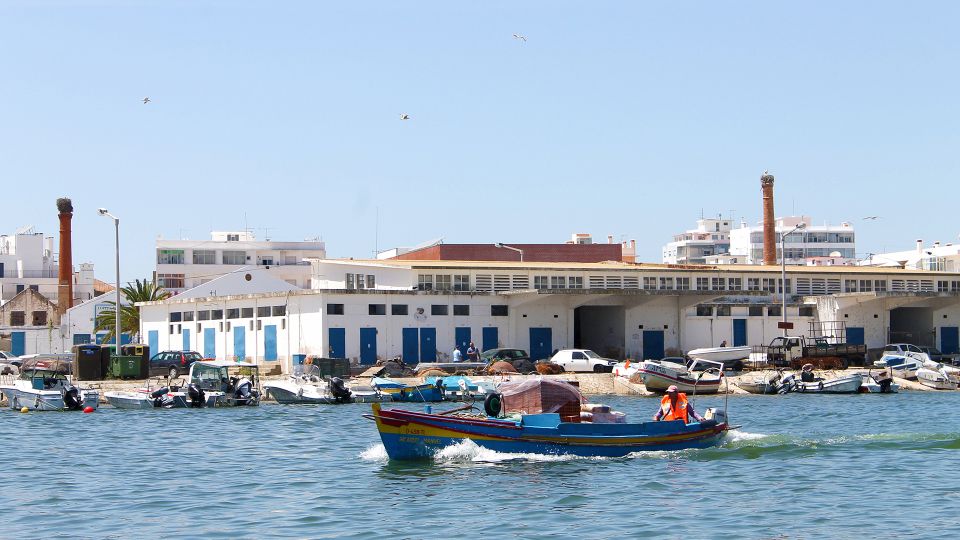 Ria Formosa: 2-Hour Fishermen Route Boat Tour - Explore Ria Formosa Natural Park