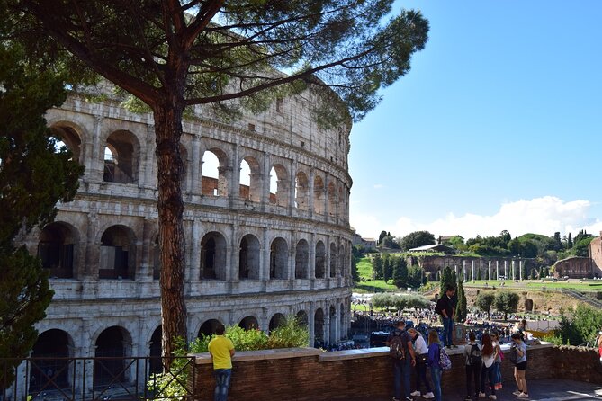 Rome: Entry to Colosseum, Roman Forum & Palatine Hill - Accessibility Information