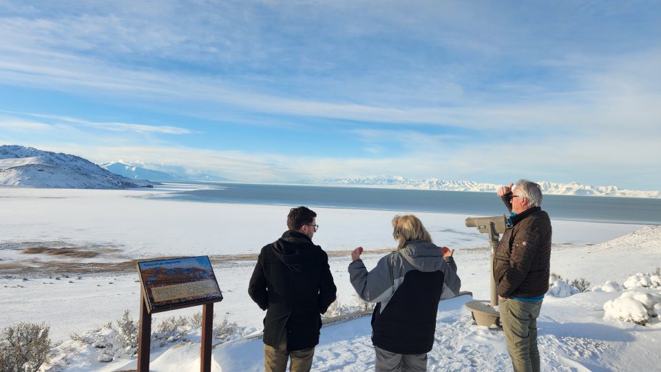 Salt Lake City: Great Salt Lake Antelope Island Guided Tour - Observing the Wildlife and Birdlife