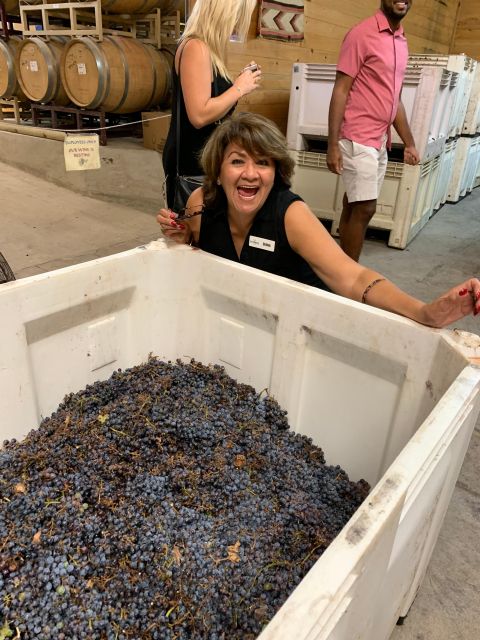 San Antonio: Fredericksburg Wineries Day Trip With Tastings - Inclusions and Exclusions