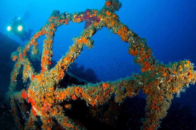 Scuba Diving in Calabria, Italy - Meeting Point and Start Time