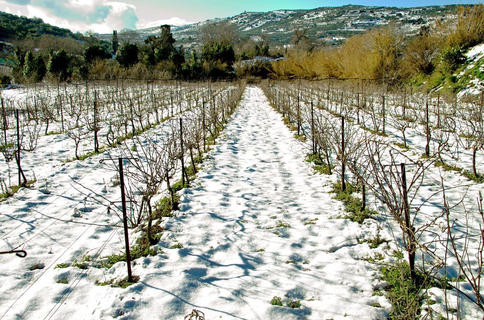 Semi Private Heraklion Valley Wine Tour With Lunch - Winery Visits and Tastings