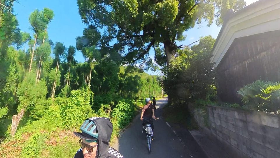 Serene Cycling in Arashiyama: Tour Review - Booking Information