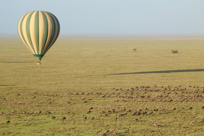 Serengeti Balloon Safari and Authentic Bush Breakfast - Preparing for the Experience