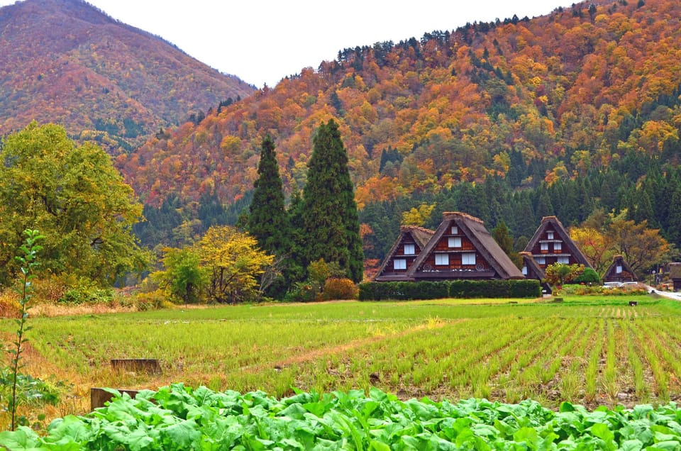 Shirakawago & Gokayama Ainokura Tour Review - Tour Duration and Timing