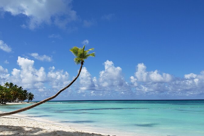 Small Group: Saona Island Full Day Tour - Saona Island Exploration