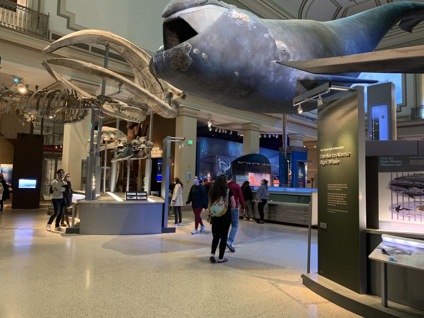 Smithsonian National Museum of Natural History Guided Tour - Guide Rating