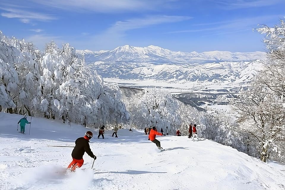 Snow Monkey & ZinkoJi With Sake Tasting Private Tour - Transportation