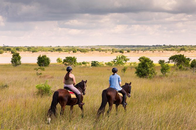 Standard Ride: Beach & Bush - Booking Information