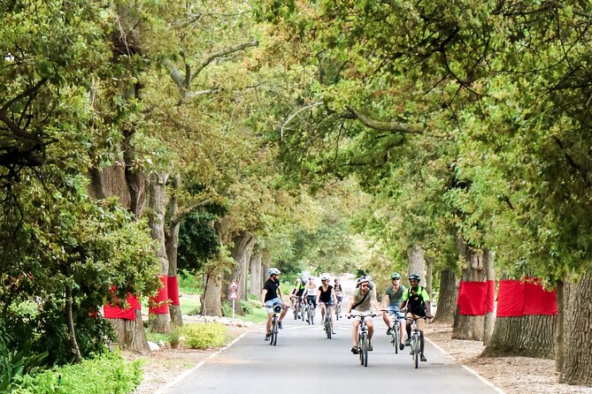 Stellenbosch Winelands Luxury EBike Tour © - Indulge in Wine Tastings