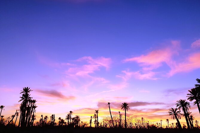 Sunset Camel Ride Tour in Marrakech Palm Grove - Scenic Sunset Camel Ride