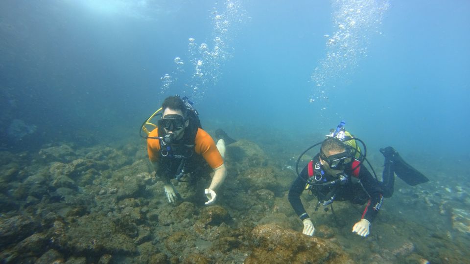 Tenerife: Discover Scuba Diving With Free Photos - Customer Ratings and Feedback