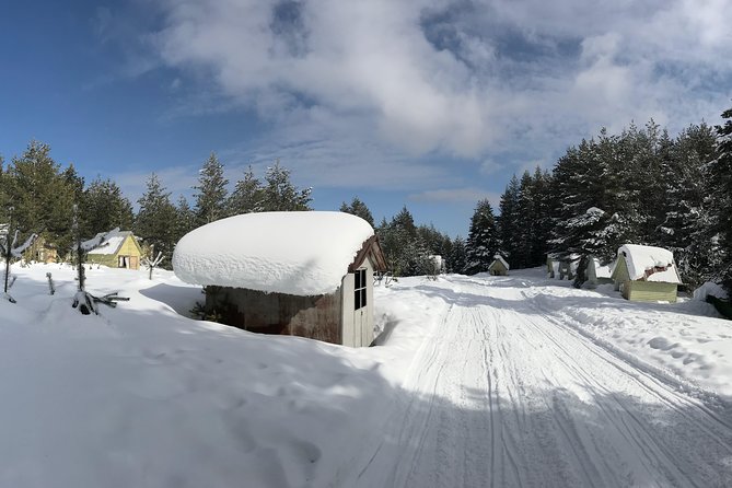 The Best of Bansko: Magical Snowshoeing Adventure & SPA - Accessibility and Health Considerations