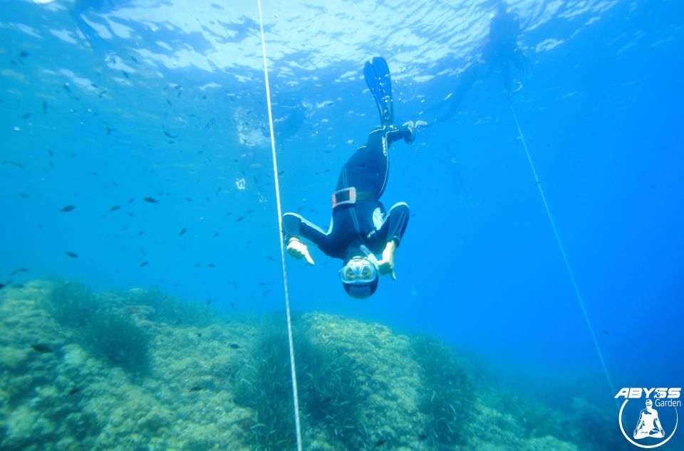 The Ciotat: Introduction to Freediving - Marine Environment Discovery