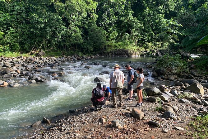 The El Yunque National Forest and Luquillo Beach Combo - Observing Flora and Fauna