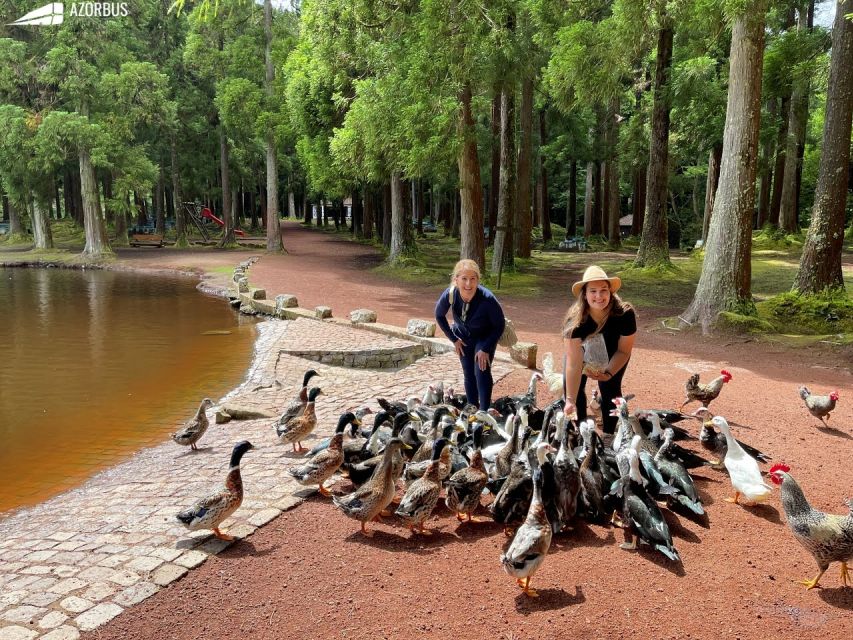 Third Island: Algar Do Carvão - the Caves Tour - Customer Feedback