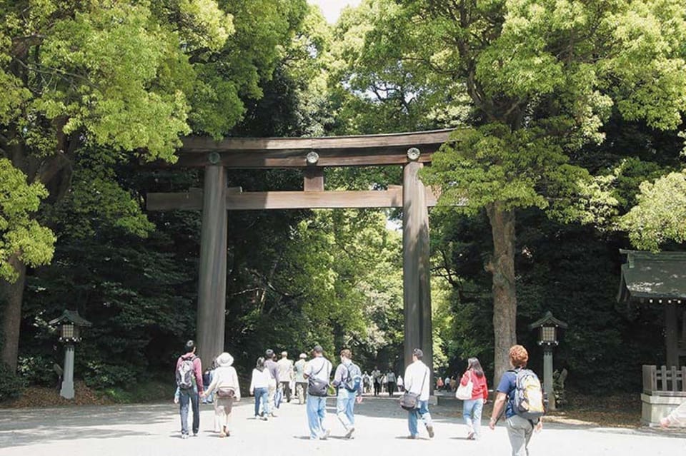 Tokyo :1-Day Bus Tour W/Lunch,Meiji Shrine, Tokyos Main Spot - Lunch Experience