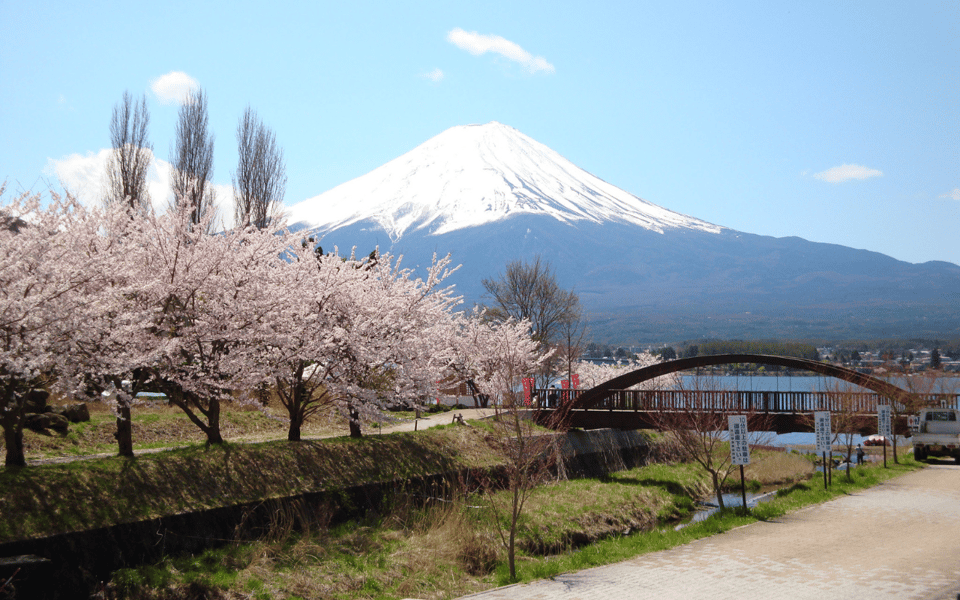 Tokyo Day Trip -Mount Fuji Private Tour From Tokyo - Cultural Immersion and Insights