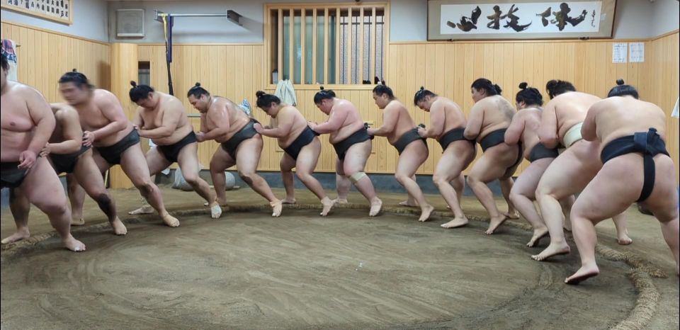 Tokyo: Morning Sumo Practice Viewing - Practical Information