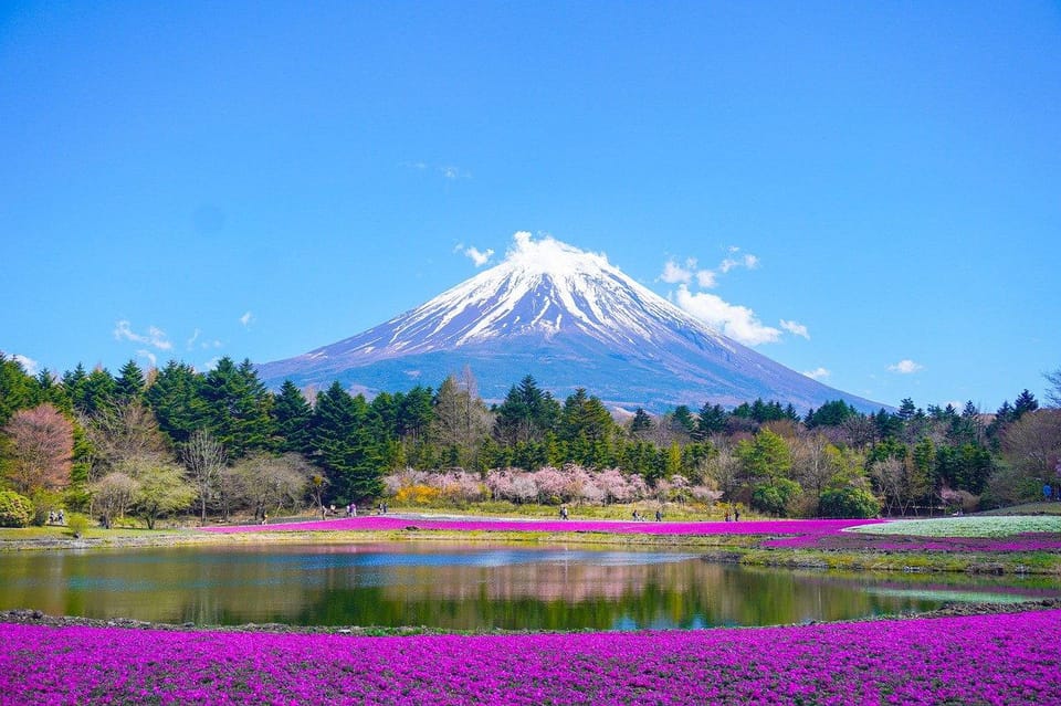 Tokyo: Mount Fuji or Hakone Customized Private Full-Day Trip - Preparation and Guidelines