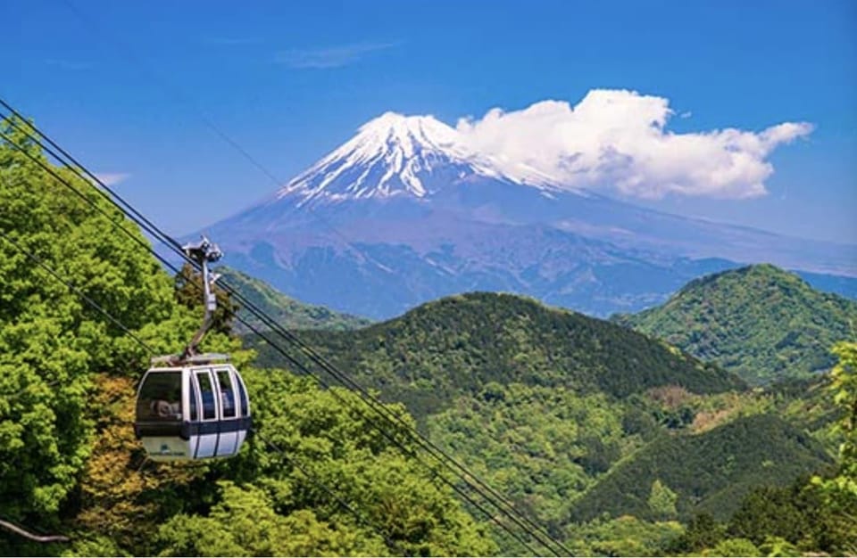 Tokyo: Mt Fuji and Hakone Full Day Private Tour - Private Charter Experience