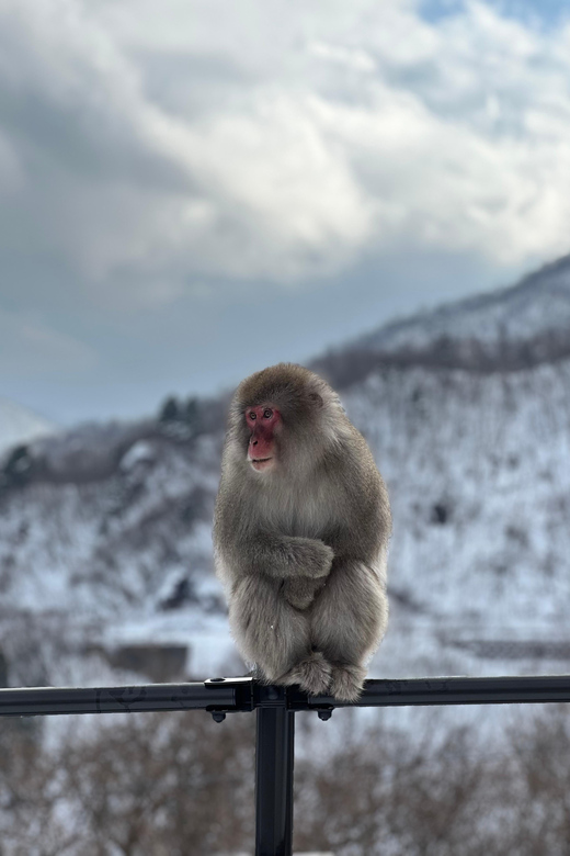 Tokyo/Nagano: Snow Monkey & Zenkoji Temple Private Day Trip - Pickup and Drop-off Locations