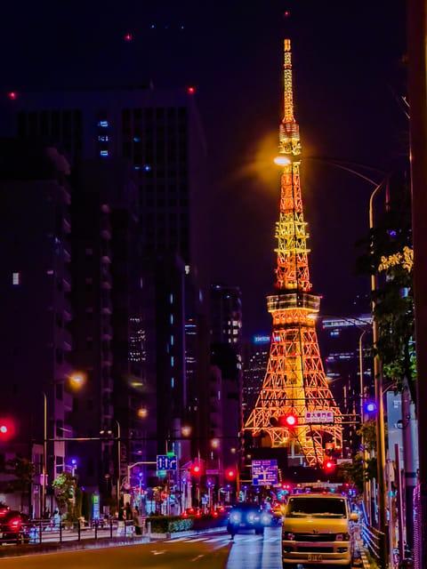 Tokyo Twilight Expedition Car Tour Review - Tour Flexibility and Customization