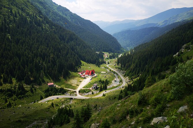 Transfagarasan Road & Wild Brown Bears -Private Day Trip - Vidaru Dam and Its Scenic Views