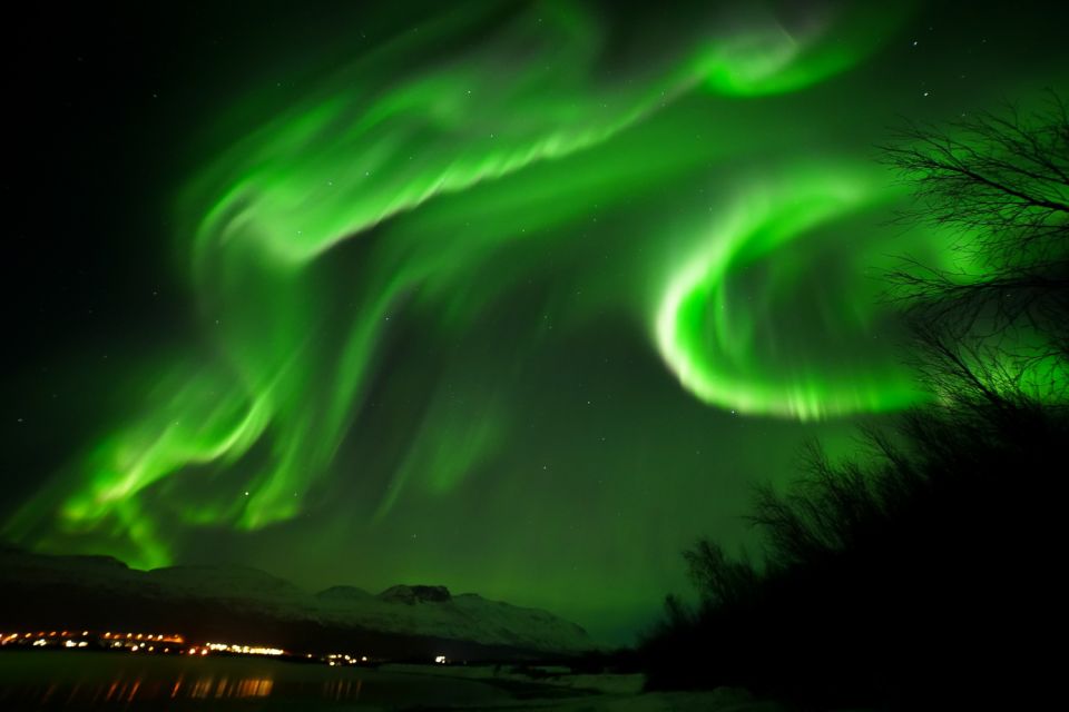 Tromsø: Northern Lights Tour With Free Professional Portrait - Pickup Location