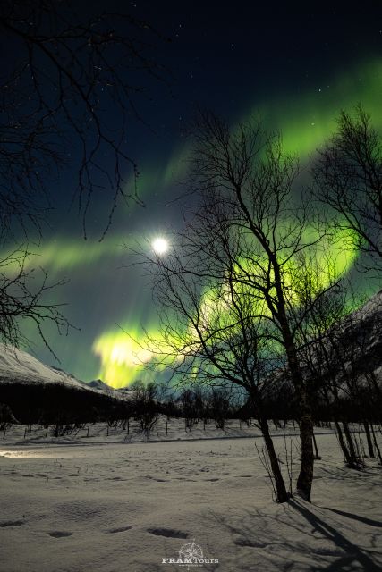 Tromso: Northern Lights Tour With Photographer - Northern Lights Photography Tips