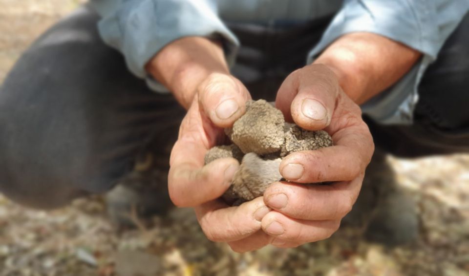 Truffle Hunting, Culinary & Wine Celebration From Elounda - Additional Support and Services