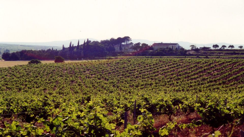 Valencia: Utiel-Requena Cave & Winery Day Trip With Tasting - Participant Information