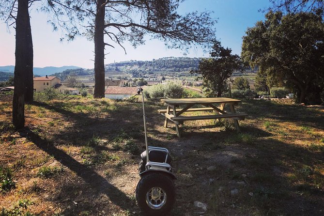 Vineyard Visit by Segway, Tour of Cellar & Tasting Wines of Bandol - Activity Duration and Accessibility