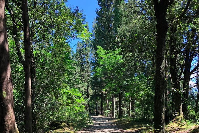 Walking on Florence Hills and Tuscany - Hiking Through Settignano Hamlet