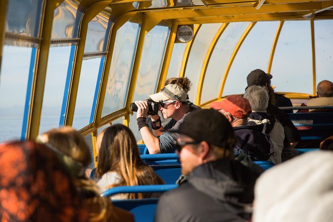 Whale-Watching Tour From Vancouver - Whale-Watching Experience