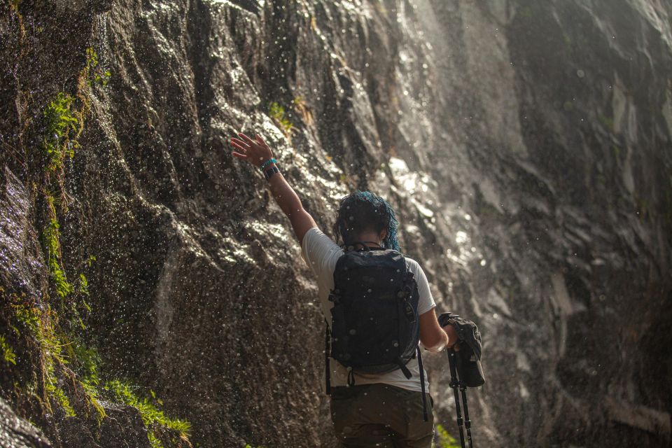 Yosemite National Park Guided Hike and Tour - Frequently Asked Questions