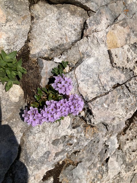 Zugspitze: Hiking Down via Gatterl to Ehrwald - Included Provisions