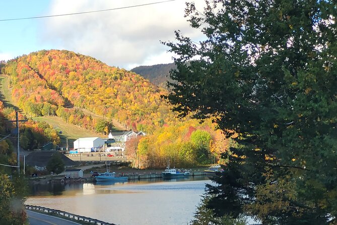 6 Hours Mini Cabot Trail Tour - Key Points