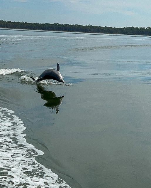 2-Hour Dolphin and Nature Eco Tour From Orange Beach - On-Board Amenities and Services