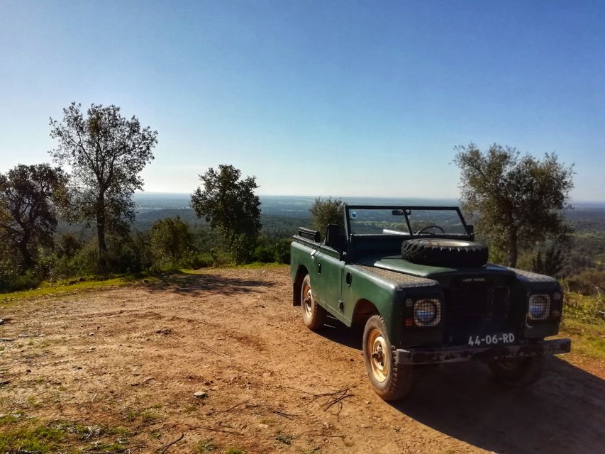 2hr Cork Safari in a Classical Land Rover - Tour Suitability