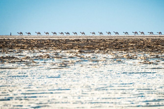 3 Days Danakil Depression Tour - Itinerary and Schedule