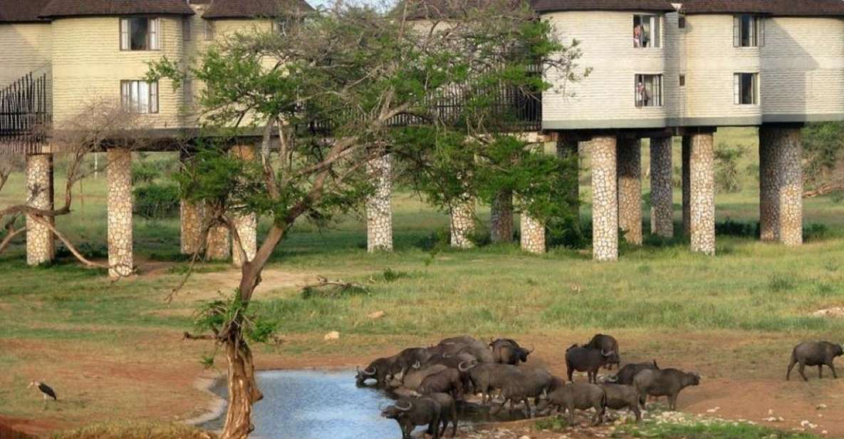 3 Days Safari to Saltlick Lodge From Nairobi - Itinerary Day 3